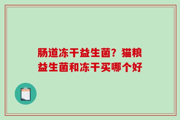 肠道冻干益生菌？猫粮益生菌和冻干买哪个好