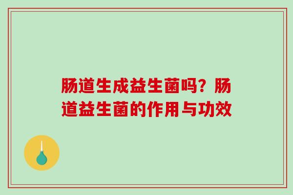 肠道生成益生菌吗？肠道益生菌的作用与功效