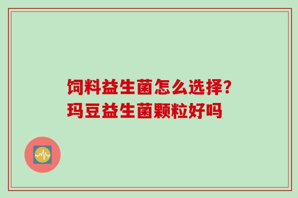 饲料益生菌怎么选择？玛豆益生菌颗粒好吗