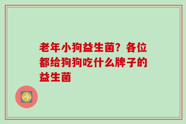 老年小狗益生菌？各位都给狗狗吃什么牌子的益生菌