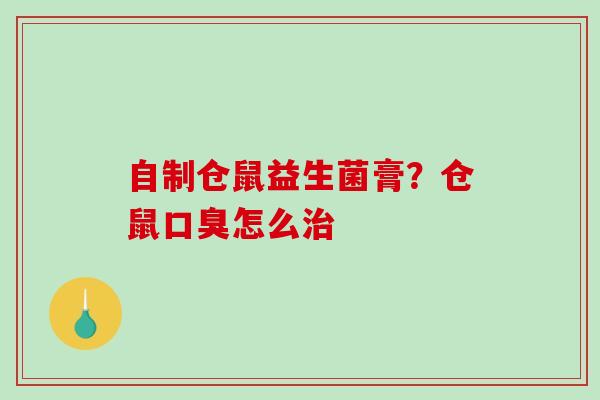 自制仓鼠益生菌膏？仓鼠口臭怎么治