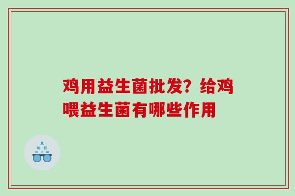 鸡用益生菌批发？给鸡喂益生菌有哪些作用