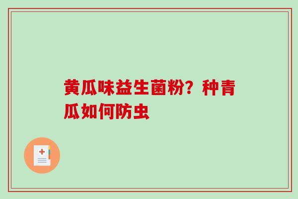 黄瓜味益生菌粉？种青瓜如何防虫