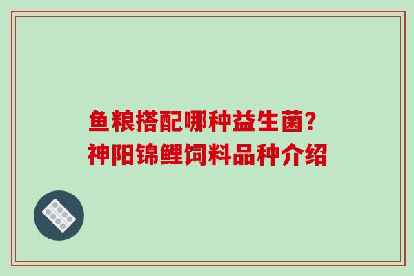 鱼粮搭配哪种益生菌？神阳锦鲤饲料品种介绍