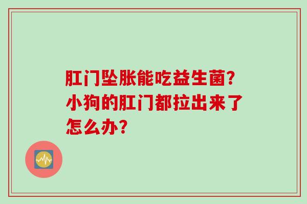 肛门坠胀能吃益生菌？小狗的肛门都拉出来了怎么办？