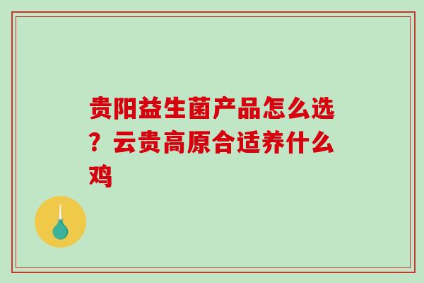 贵阳益生菌产品怎么选？云贵高原合适养什么鸡