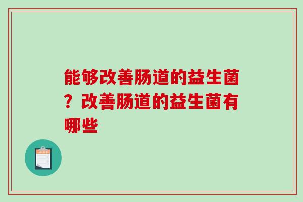 能够改善肠道的益生菌？改善肠道的益生菌有哪些