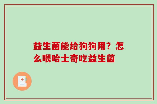 益生菌能给狗狗用？怎么喂哈士奇吃益生菌