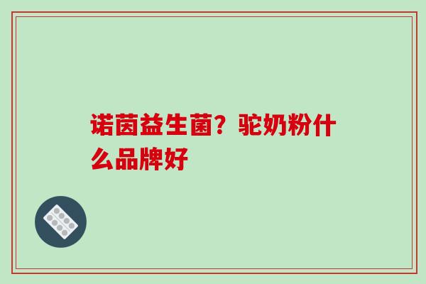 诺茵益生菌？驼奶粉什么品牌好