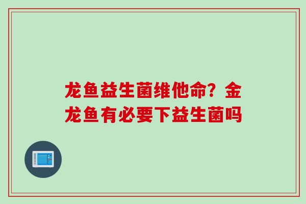 龙鱼益生菌维他命？金龙鱼有必要下益生菌吗