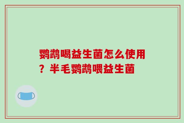 鹦鹉喝益生菌怎么使用？半毛鹦鹉喂益生菌