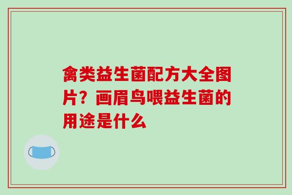 禽类益生菌配方大全图片？画眉鸟喂益生菌的用途是什么