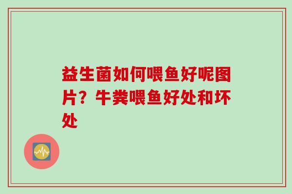 益生菌如何喂鱼好呢图片？牛粪喂鱼好处和坏处