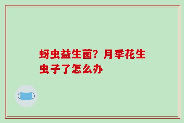 蚜虫益生菌？月季花生虫子了怎么办