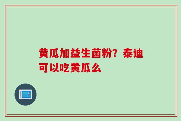 黄瓜加益生菌粉？泰迪可以吃黄瓜么