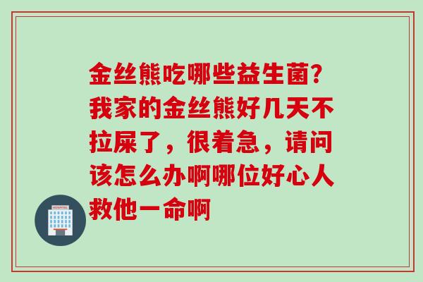 金丝熊吃哪些益生菌？我家的金丝熊好几天不拉屎了，很着急，请问该怎么办啊哪位好心人救他一命啊