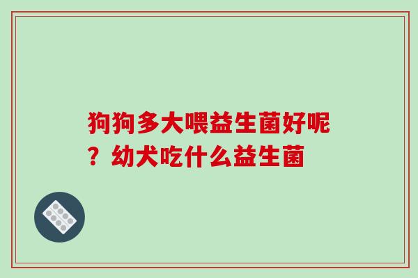 狗狗多大喂益生菌好呢？幼犬吃什么益生菌