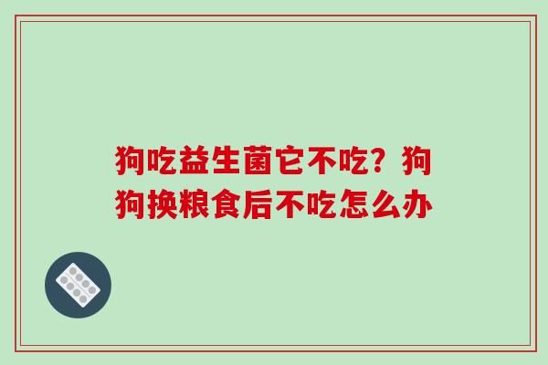 狗吃益生菌它不吃？狗狗换粮食后不吃怎么办
