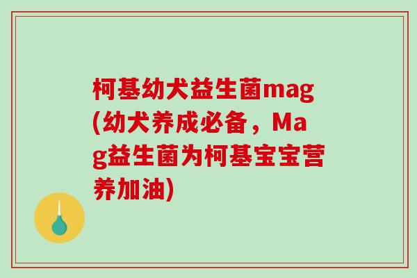 柯基幼犬益生菌mag(幼犬养成必备，Mag益生菌为柯基宝宝营养加油)