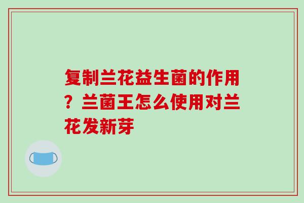 复制兰花益生菌的作用？兰菌王怎么使用对兰花发新芽