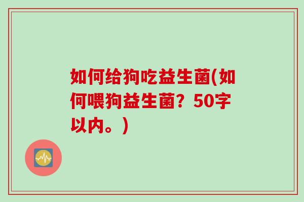 如何给狗吃益生菌