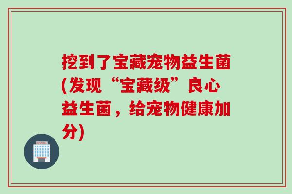 挖到了宝藏宠物益生菌(发现“宝藏级”良心益生菌，给宠物健康加分)