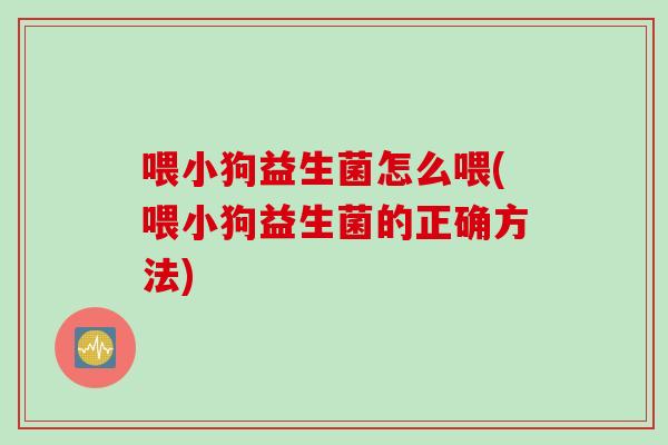 喂小狗益生菌怎么喂(喂小狗益生菌的正确方法)