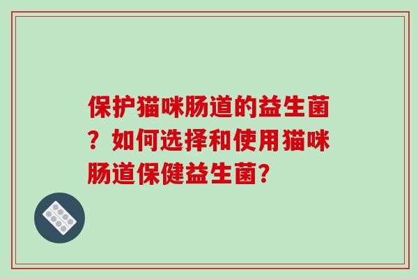 保护猫咪肠道的益生菌？如何选择和使用猫咪肠道保健益生菌？