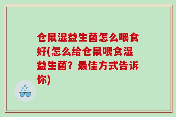 仓鼠湿益生菌怎么喂食好(怎么给仓鼠喂食湿益生菌？佳方式告诉你)