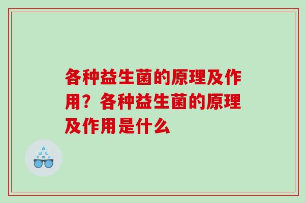 各种益生菌的原理及作用？各种益生菌的原理及作用是什么