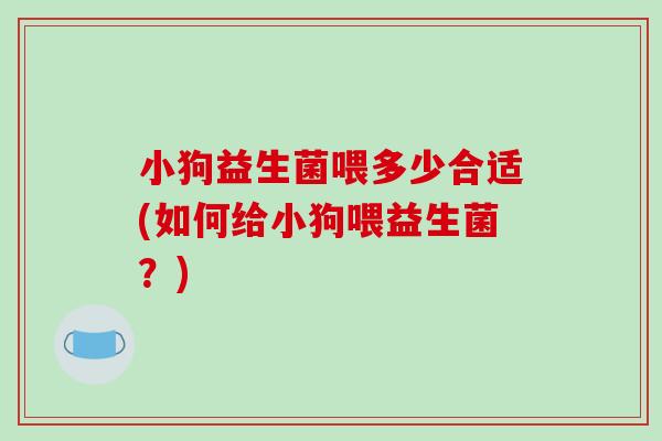 小狗益生菌喂多少合适(如何给小狗喂益生菌？)
