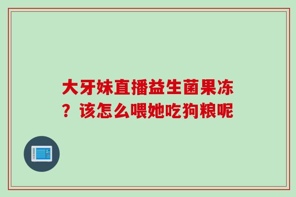 大牙妹直播益生菌果冻？该怎么喂她吃狗粮呢