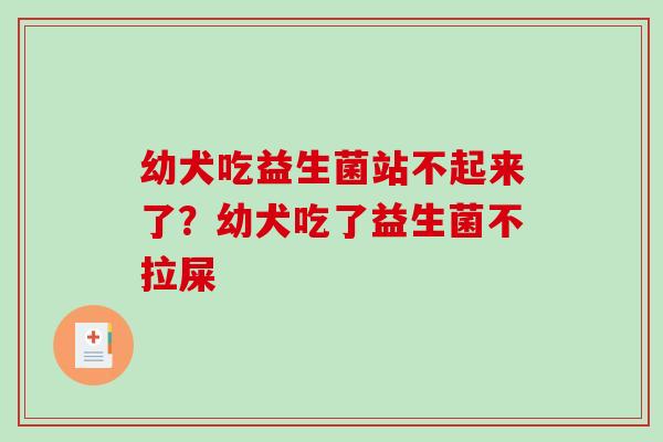 幼犬吃益生菌站不起来了？幼犬吃了益生菌不拉屎