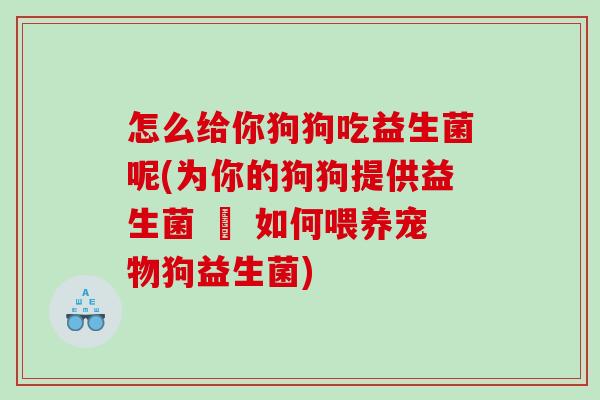 怎么给你狗狗吃益生菌呢(为你的狗狗提供益生菌 – 如何喂养宠物狗益生菌)