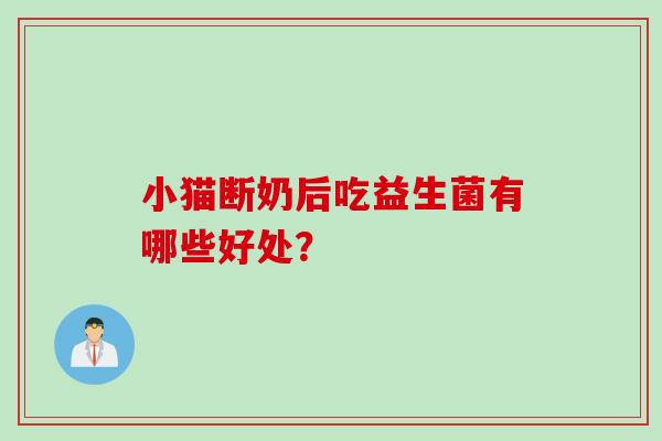 小猫断奶后吃益生菌有哪些好处？