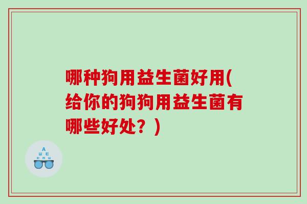 哪种狗用益生菌好用(给你的狗狗用益生菌有哪些好处？)