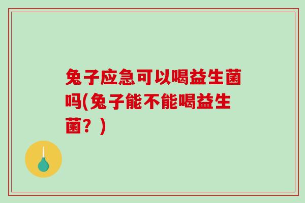 兔子应急可以喝益生菌吗(兔子能不能喝益生菌？)