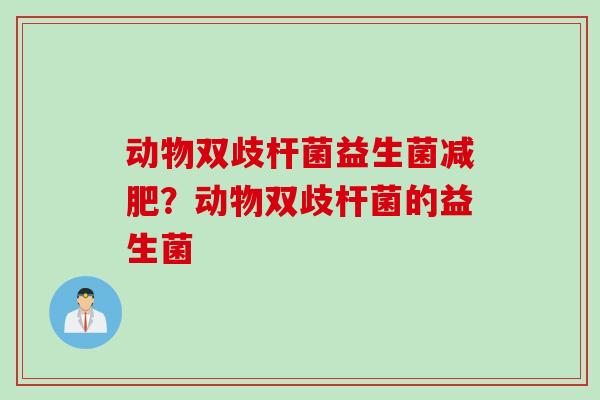 动物双歧杆菌益生菌减肥？动物双歧杆菌的益生菌