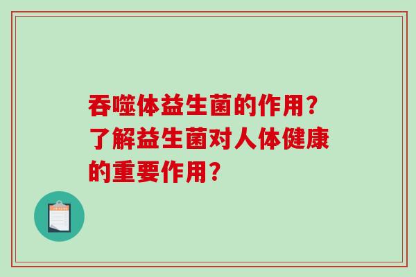 吞噬体益生菌的作用？了解益生菌对人体健康的重要作用？