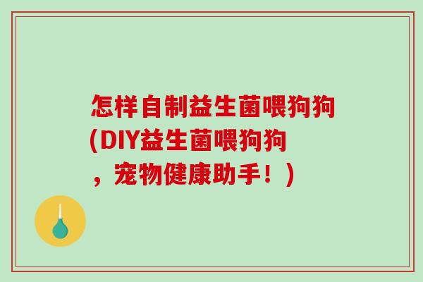 怎样自制益生菌喂狗狗(DIY益生菌喂狗狗，宠物健康助手！)