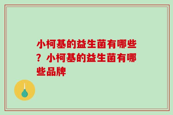 小柯基的益生菌有哪些？小柯基的益生菌有哪些品牌