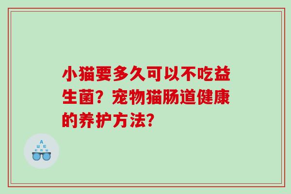 小猫要多久可以不吃益生菌？宠物猫肠道健康的养护方法？