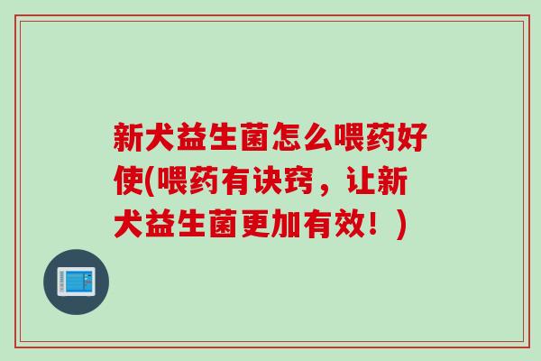 新犬益生菌怎么喂药好使(喂药有诀窍，让新犬益生菌更加有效！)