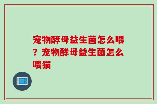 宠物酵母益生菌怎么喂？宠物酵母益生菌怎么喂猫