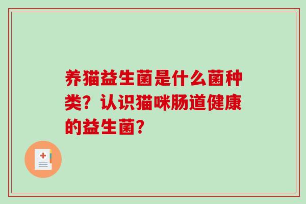 养猫益生菌是什么菌种类?认识猫咪肠道健康的益生菌? 养猫益生菌是什么菌种类?认识猫咪肠道健康的益生菌?