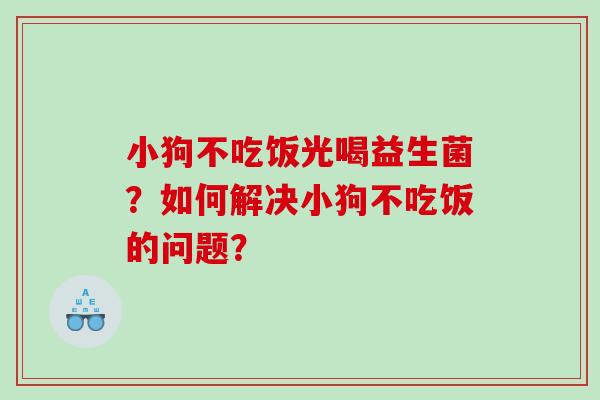 小狗不吃饭光喝益生菌？如何解决小狗不吃饭的问题？
