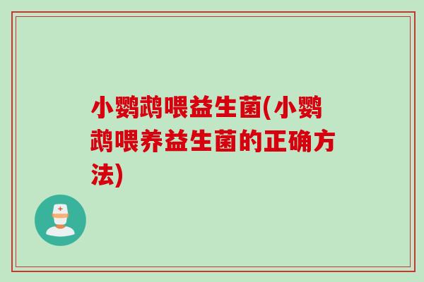 小鹦鹉喂益生菌(小鹦鹉喂养益生菌的正确方法)
