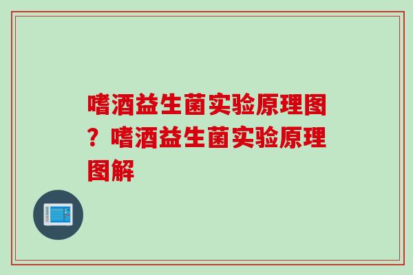 嗜酒益生菌实验原理图？嗜酒益生菌实验原理图解