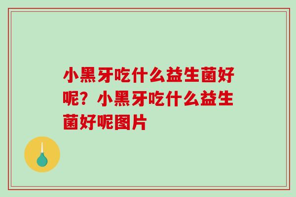 小黑牙吃什么益生菌好呢？小黑牙吃什么益生菌好呢图片