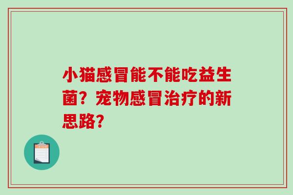 小猫感冒能不能吃益生菌？宠物感冒治疗的新思路？